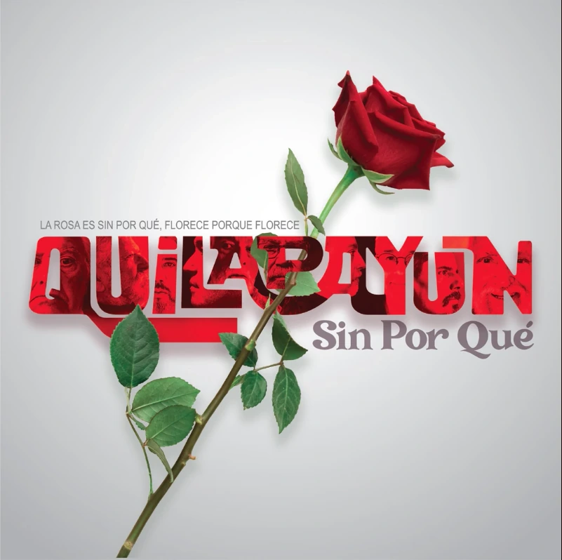 Quilapayuún — portafolio Estudios Madero
